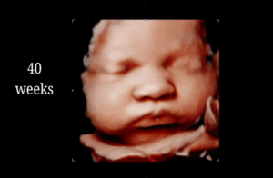 40 Weeks